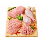 Raw turkey meats and cuts 