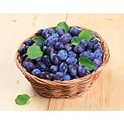 Basket of fresh plums