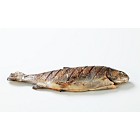 Grilled trout